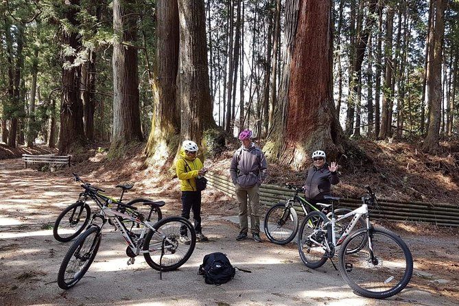 Imagen del tour: Recorrido exclusivo en bicicleta por Nikko por la ciudad y el campo