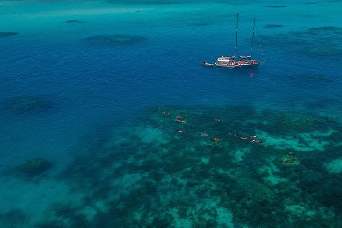 Imagen del tour: Crucero a Green Island desde Cairns