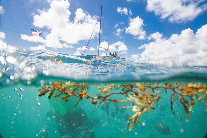 Imagen del tour: Excursión de navegación en vela y buceo de superficie para grupos pequeños en Punta Cana