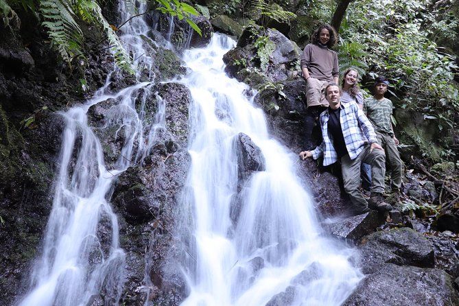 Imagen del tour: Caminata en cascada