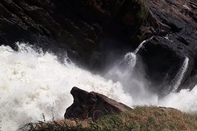 Imagen del tour: Safari privado de 3 días al Parque Nacional Murchison Falls con Big Five Experience
