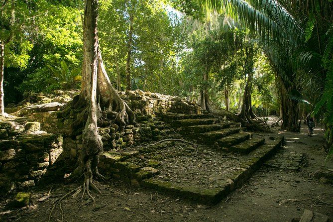 Imagen del tour: Excursión por la Costa Maya: excursión de un día a Chacchoben