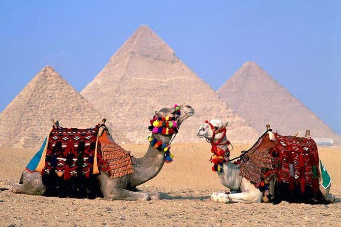 Imagen del tour: Excursión de un día a El Cairo Museo de las Pirámides desde Hurghada