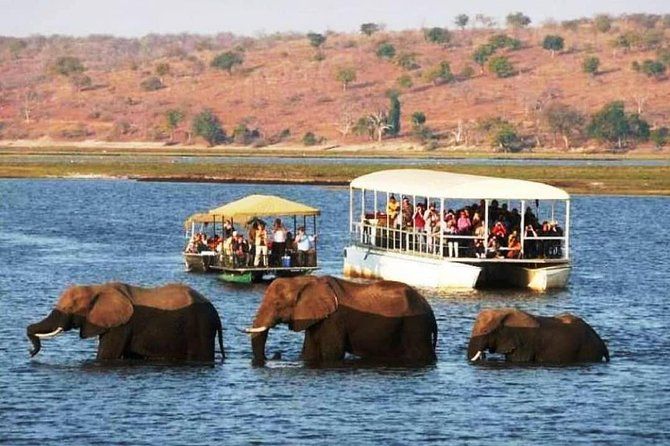 Imagen del tour: Excursión de un día a Chobe Safari desde Livingstone