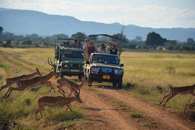 Imagen del tour: 4 días Masai Mara safari