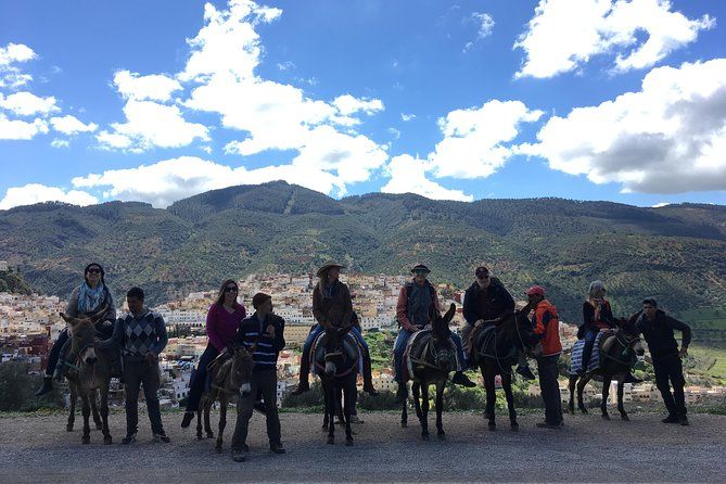 Imagen del tour: Paseo en burro a Volubilis