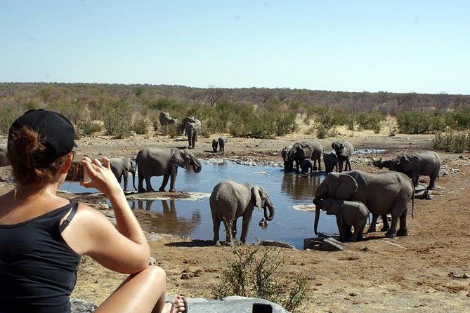 Imagen del tour: Safari de camping económico de 3 días en Etosha