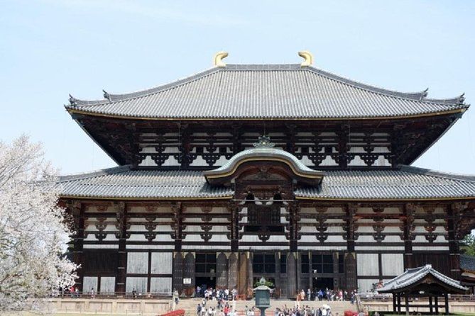 Imagen del tour: Tour privado de Nara en transporte público desde Kyoto