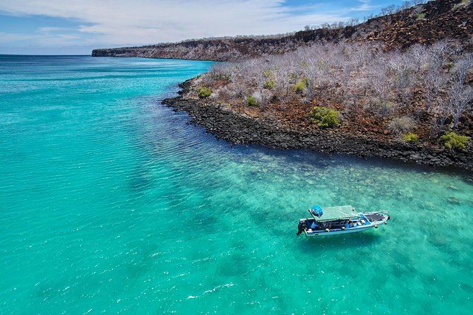 Imagen del tour: Paseo privado de un día completo a Las Grietas y Kayak en Tortoise Bay, Galápagos