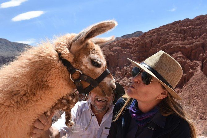 Imagen del tour: Purmamarca Paseo con Llamas