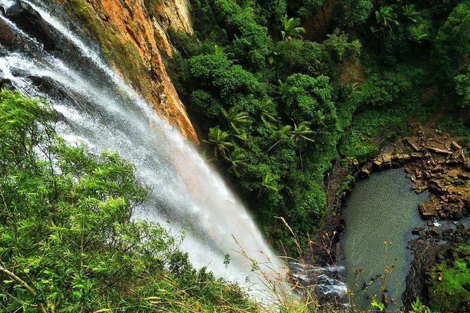 Imagen del tour: Extravaganza de selva tropical y cascadas