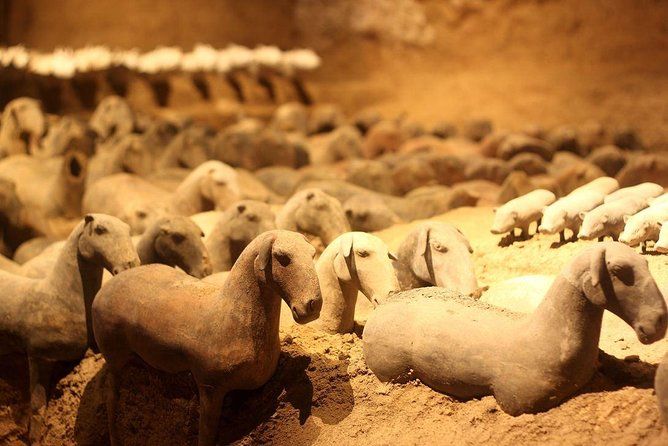 Imagen del tour: Tour privado de Xi'an: Guerreros de terracota, Museo Hanyangling, Casas Cueva