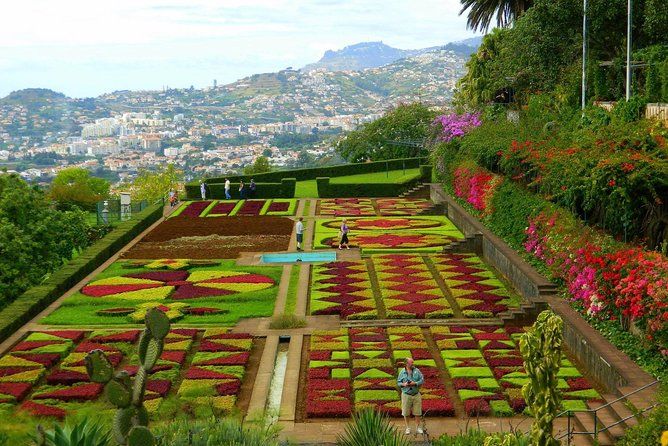 Imagen del tour: Excursión privada de medio día a Madeira (Mercedes Vito de 8 asientos)