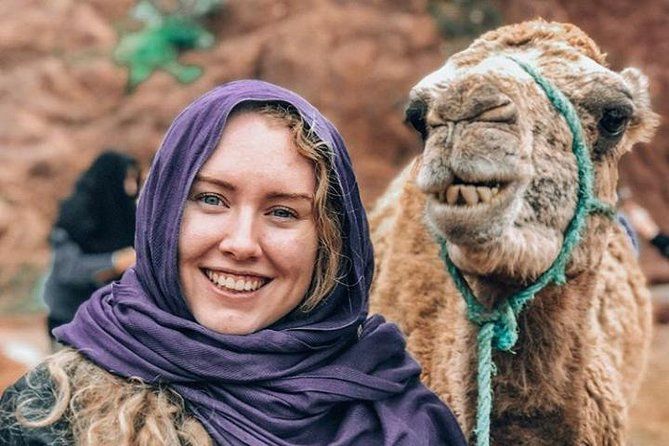 Imagen del tour: Excursión de un día a las montañas del Atlas con paseo en camello desde Marrakech, incluido el almuerzo
