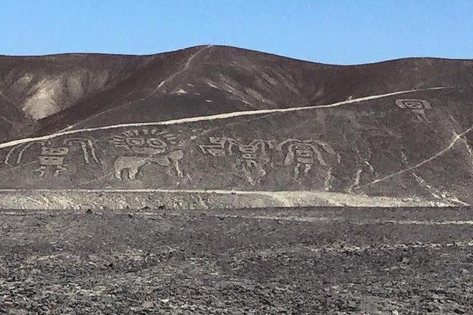 Imagen del tour: Miradores y casa museo María Reiche