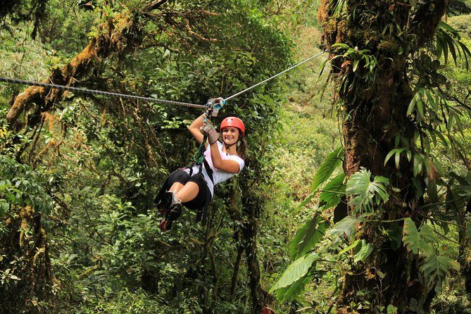 Imagen del tour: Excursión combinada a Selvatura Park desde Monteverde
