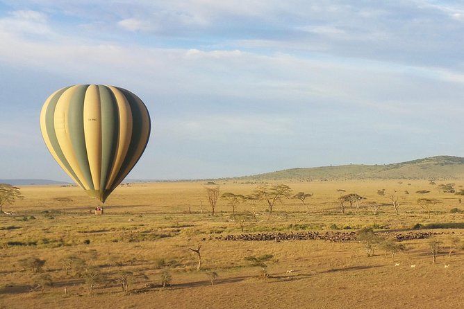 Imagen del tour: Serengeti Balloon Safari y auténtico desayuno en la selva