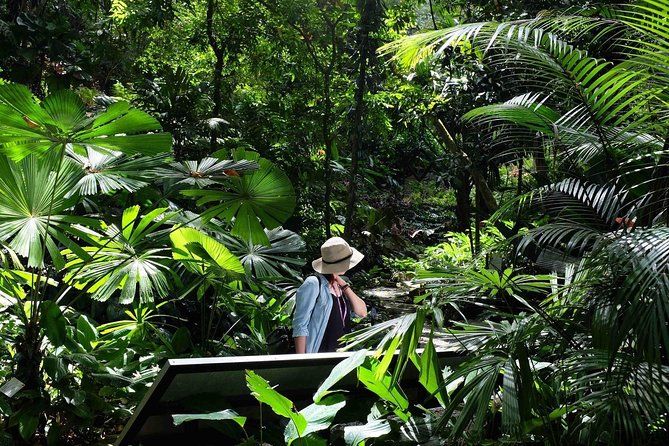 Imagen del tour: Penang Round Island Tour Con Jardín de Especias Tropicales y Entopia Butterfly Farm