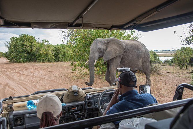 Imagen del tour: Desde Livingstone, las cataratas Victoria o Kasane: tour de un día por Chobe