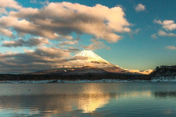 Imagen del tour: Visitas guiadas privadas del área del monte Fuji en inglés: naturaleza de cerca, tranquila, personal