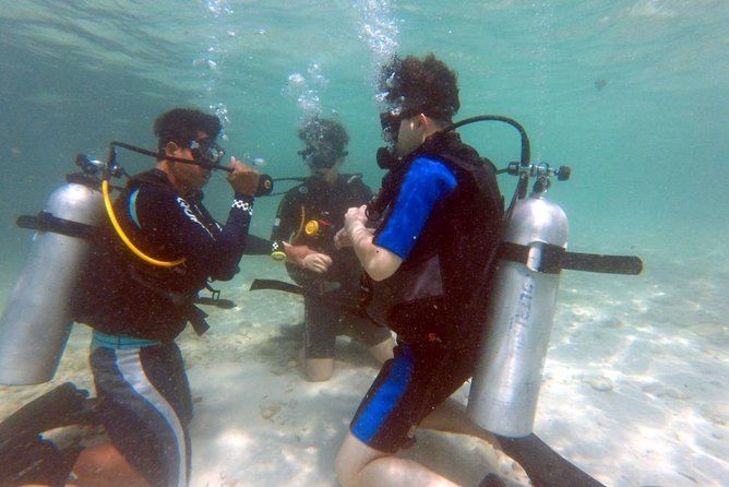 Imagen del tour: Pattaya PADI Scuba Diving Dos emocionantes inmersiones de prueba con instructor PADI en Pattaya
