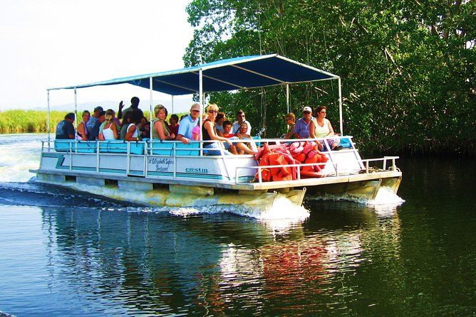 Imagen del tour: Excursión de safari al río negro desde Kingston