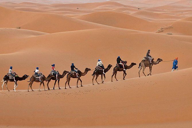 Imagen del tour: Viaje de lujo de 2 días por el desierto desde Fez a.:( Fez o Marrakech)