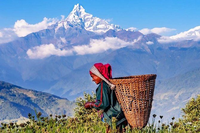 Imagen del tour: Caminata privada de día completo en las estribaciones de Annapurna en Pokhara