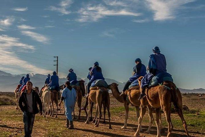 Imagen del tour: Montañas del Atlas y excursión de un día al desierto de Agafay con paseo en camello
