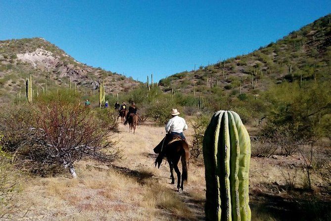 Imagen del tour: Paseo a caballo por el desierto de Baja