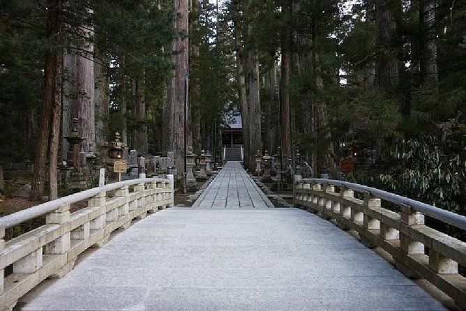 Imagen del tour: Recorrido de un día al monte Koya con acceso a los templos de Okunoin y Danjo Garan desde Osaka