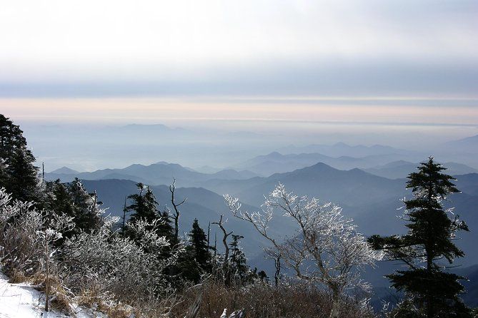 Imagen del tour: [8 días] Conquistando la península de Corea y el Parque Nacional Jirisan Senderismo