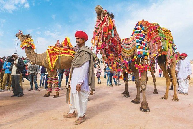 Imagen del tour: Tour privado de 11 días por la India Cultural Rajasthan