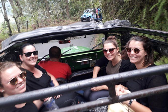 Imagen del tour: Bird-Hiking: una nueva forma de descubrir Cocora