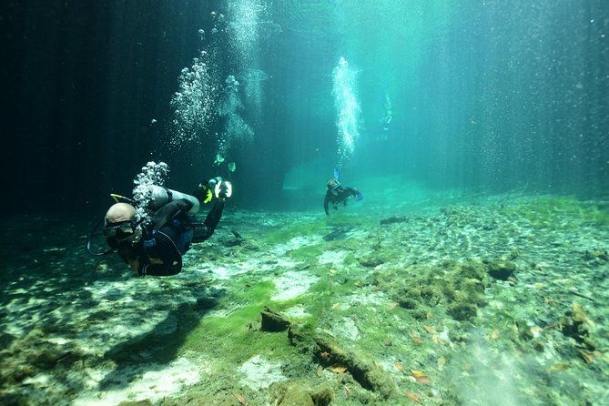Imagen del tour: Descubra el submarinismo en Tulum