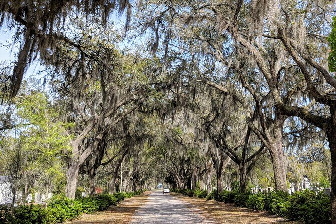 Imagen del tour: Tour privado de los distritos históricos/victorianos de Savannah y el cementerio de Bonaventure