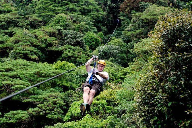 Imagen del tour: Tour de canopy por las tirolinas del bosque nuboso de Monteverde