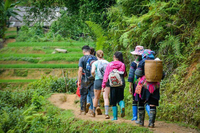 Imagen del tour: Trekking a través de campos de terrazas de arroz - 1 día