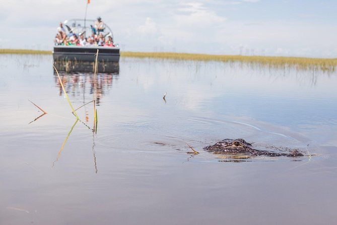 Imagen del tour: Aventura en hidrodeslizador por los Everglades de Florida y entrada para Wildlife Encounter