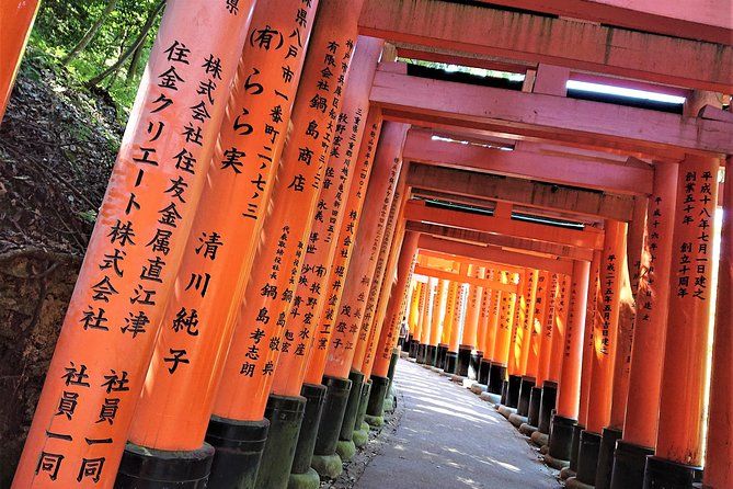 Imagen del tour: Tour de madrugadores de Kyoto