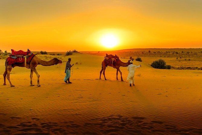 Imagen del tour: Desierto Agafay & Atlas Mountains & Waterfalls, paseo en camello Excursión de un día desde Marrakech