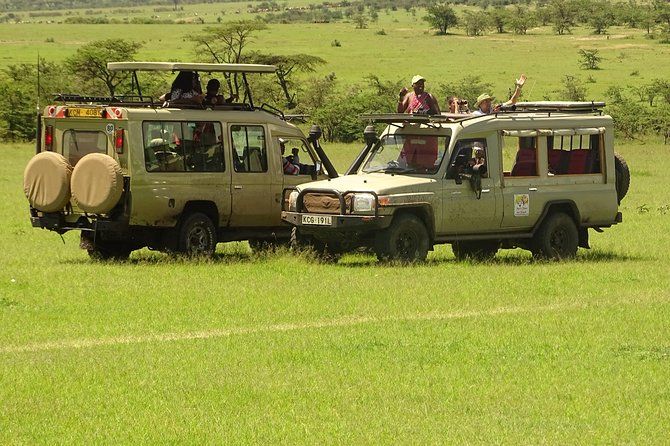 Imagen del tour: 6 días de seguimiento de gorilas en Bwindi y Masai Mara