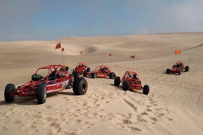 Imagen del tour: Dune Buggy, UTV o ATV Experience en Pismo Beach