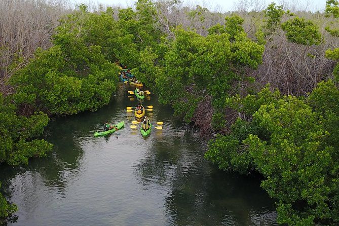 Imagen del tour: Tour de aventura en kayak por la Bahía Bio de Puerto Rico