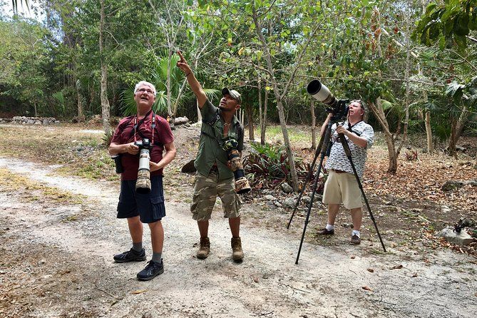 Imagen del tour: Observación de aves Mahahual y Costa Maya