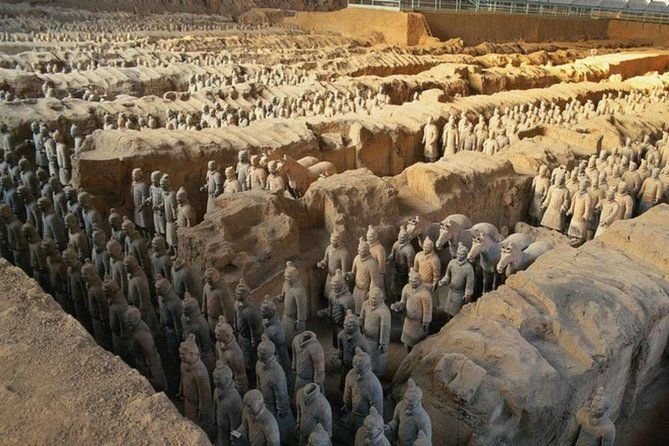 Imagen del tour: Xi'an en un día desde Qingdao por aire: guerreros de terracota, muralla y más
