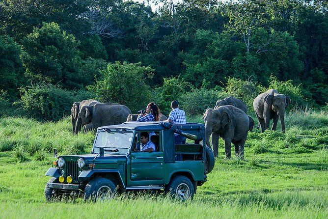 Imagen del tour: Excursión de un día al safari de Udawalawe desde Galle/Unawatuna/Ahangama/Weligama