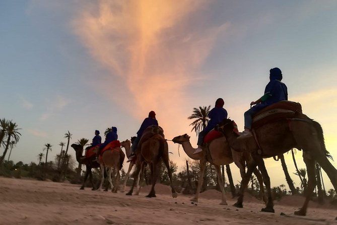 Imagen del tour: Paseo en camello al atardecer en el palmeral de Marrakech