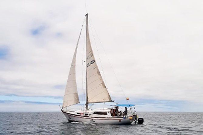 Imagen del tour: SUPer Sailing