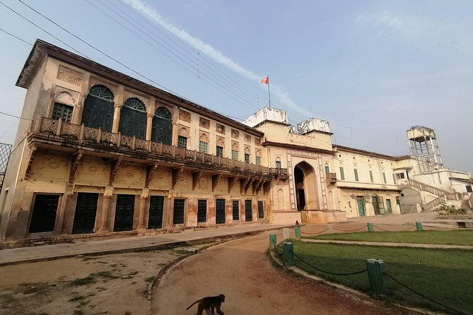Imagen del tour: Tour de día completo por la ciudad de Varanasi